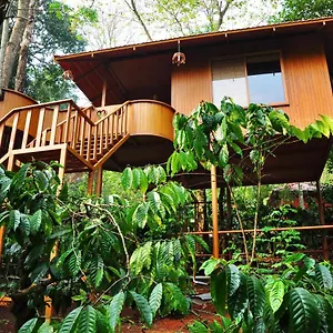 *** Resort Planet Plantation Resorts, Wayanad, Kerala India